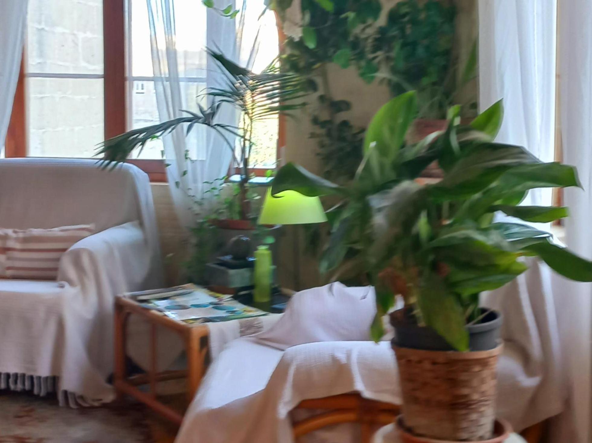 Ta' Didi B&B Kercem Ngoại thất bức ảnh