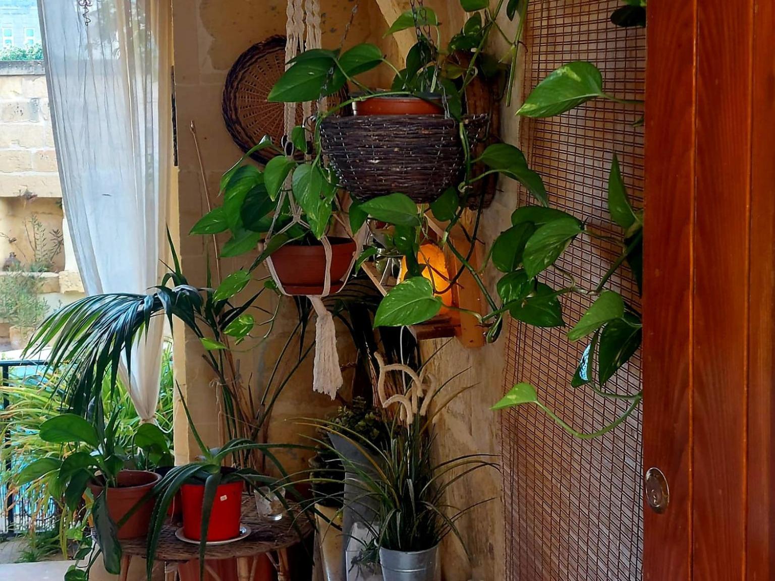 Ta' Didi B&B Kercem Ngoại thất bức ảnh